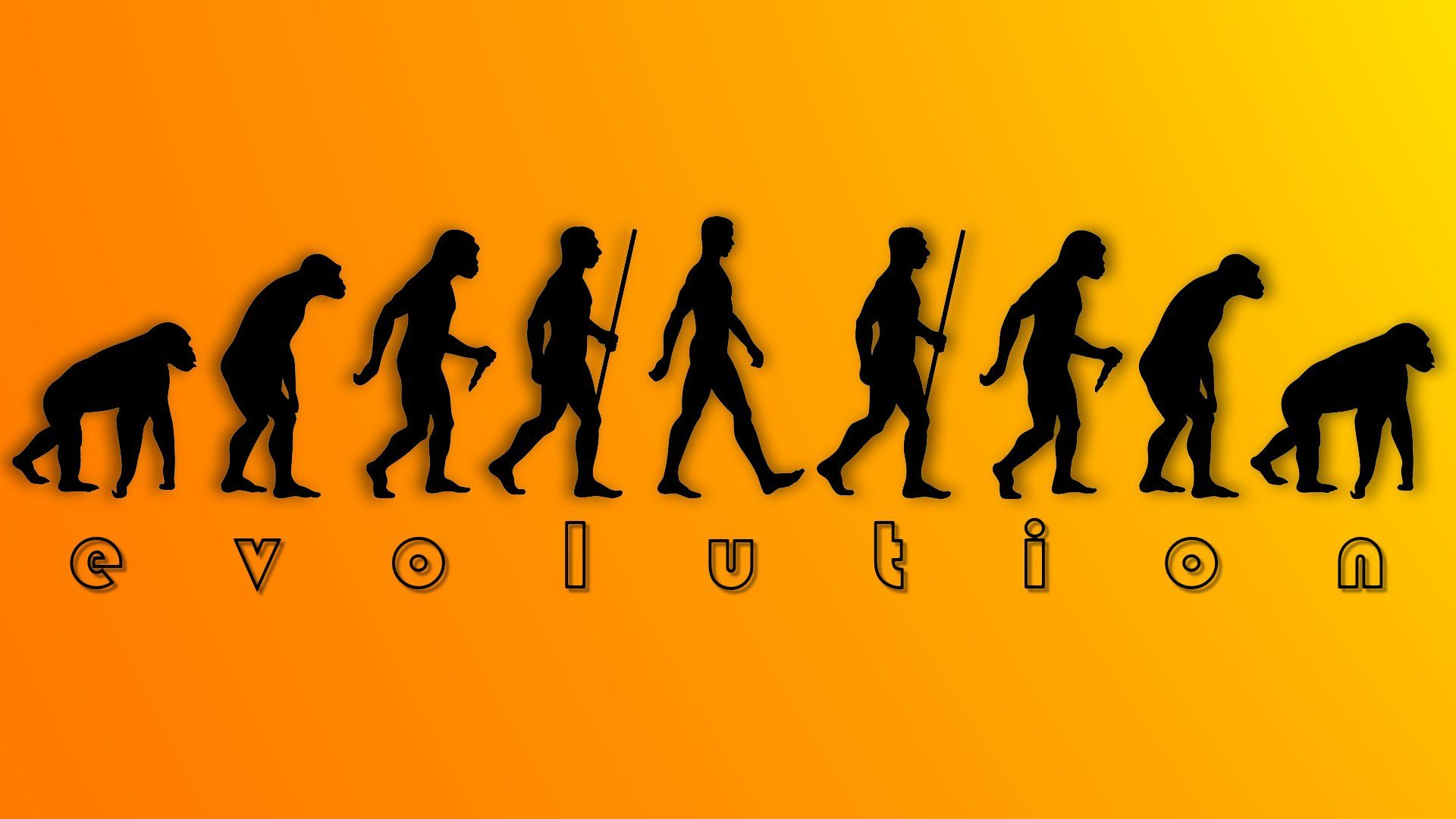 Evolution Of Man Computer Wallpaper