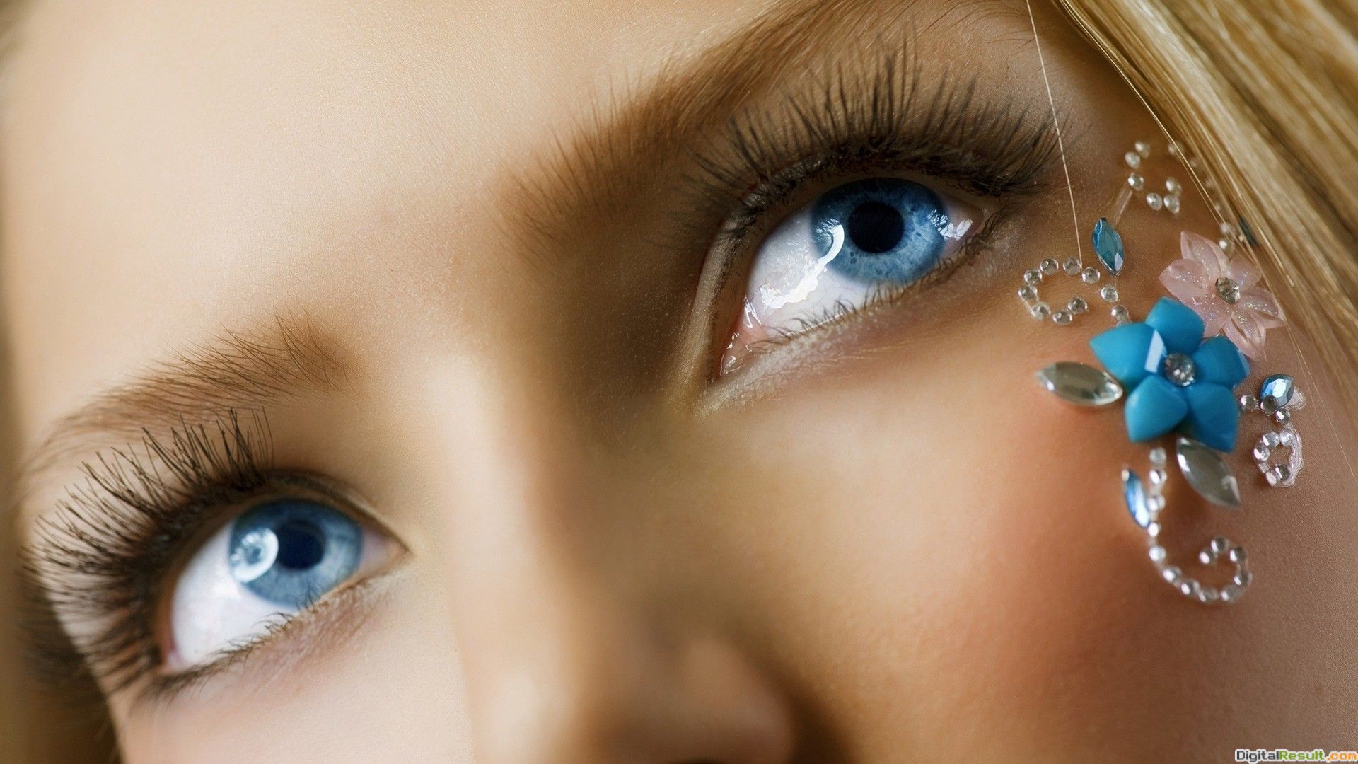 Girl Blue Eye Close Up HD Wallpapers Wallpaper Cave