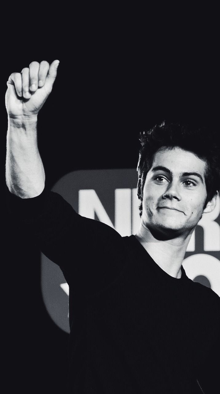 Stiles Stilinski Wallpapers Wallpaper Cave