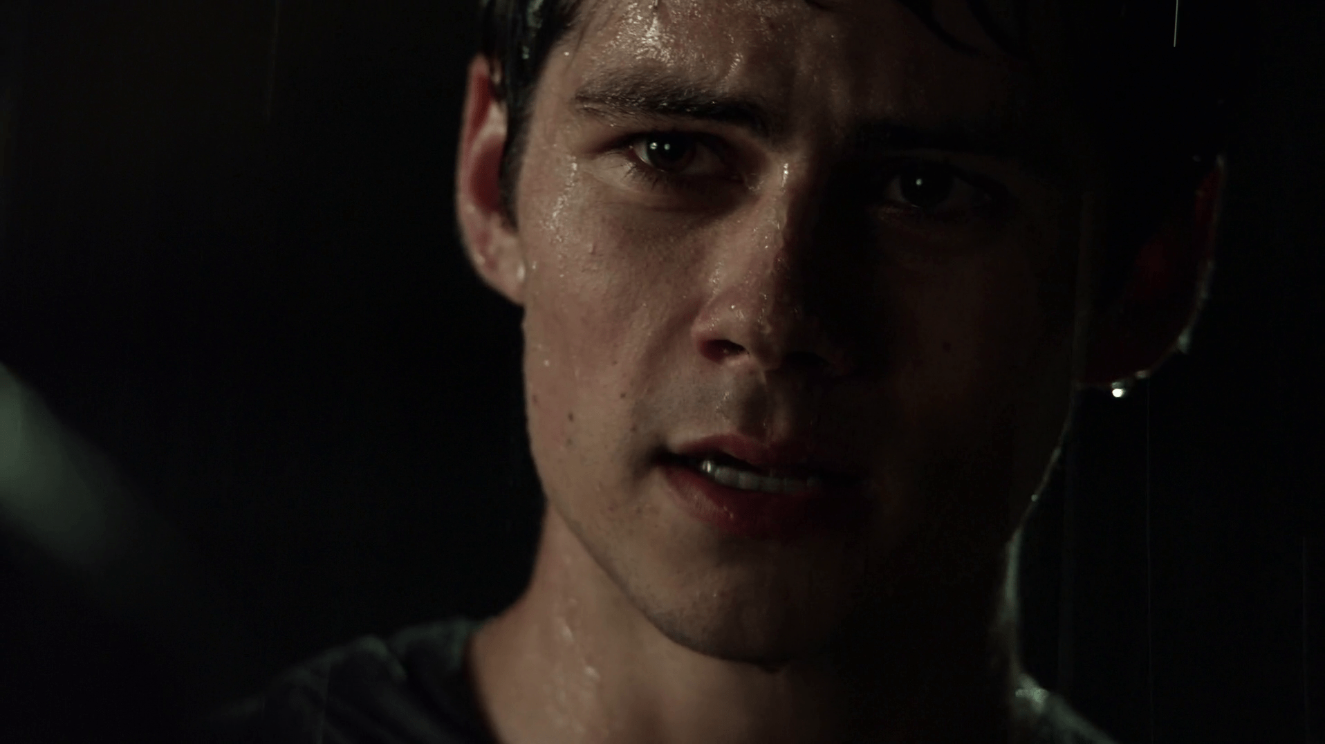 Stiles Stilinski Desktop Wallpapers Wallpaper Cave