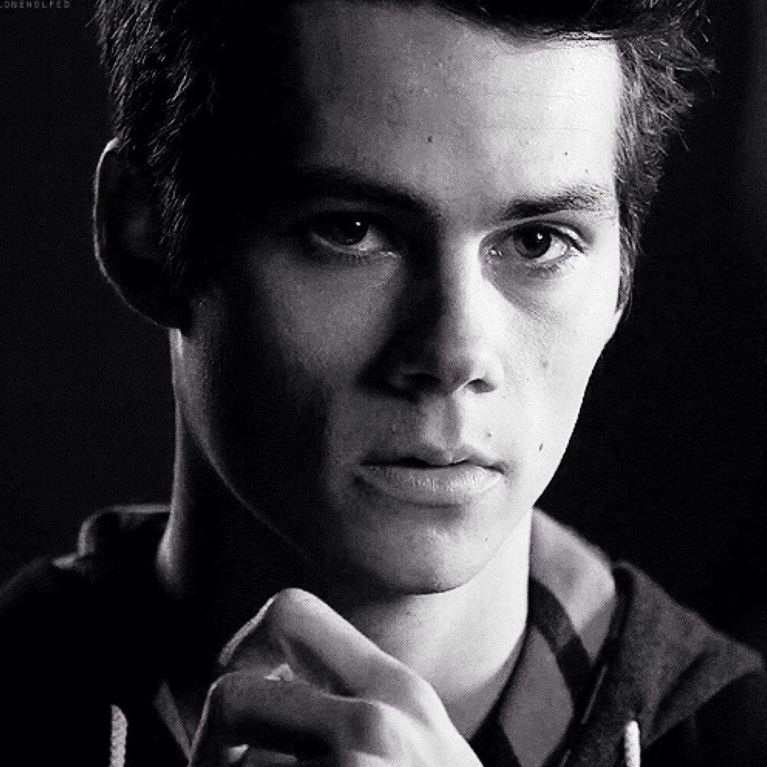 Stiles Stilinski Wallpapers Wallpaper Cave