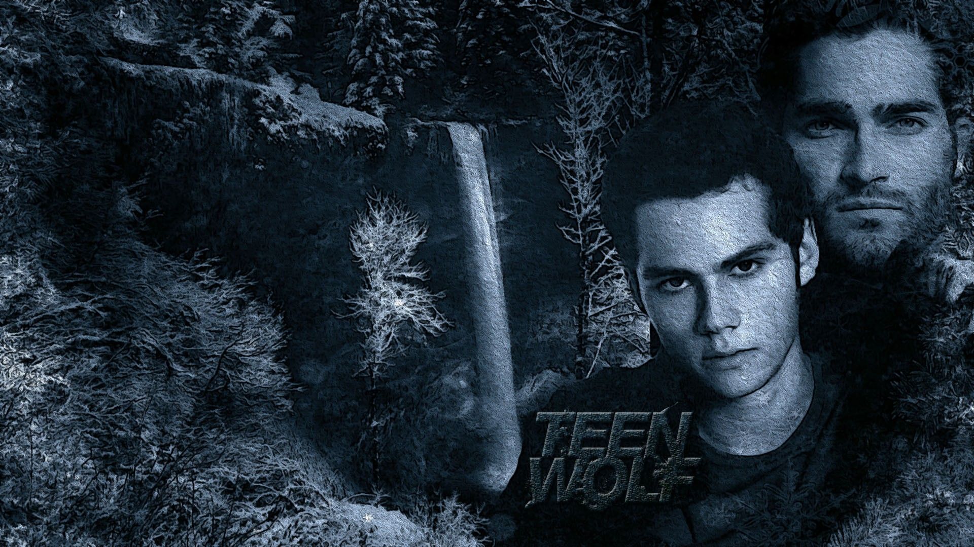 Stiles Stilinski Wallpapers Wallpaper Cave