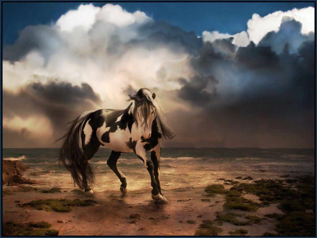Aesthetic Horse Wallpapers Wallpaper Cave