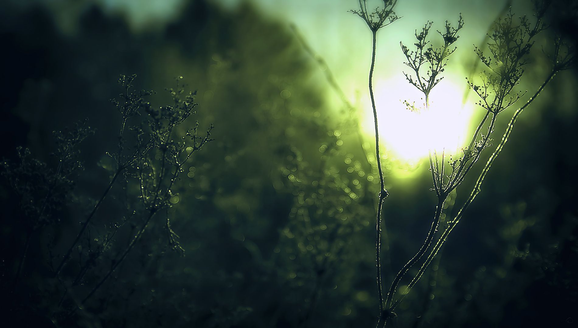 1900 X 1080 Wallpapers Group (68+) wallpaper-house.com