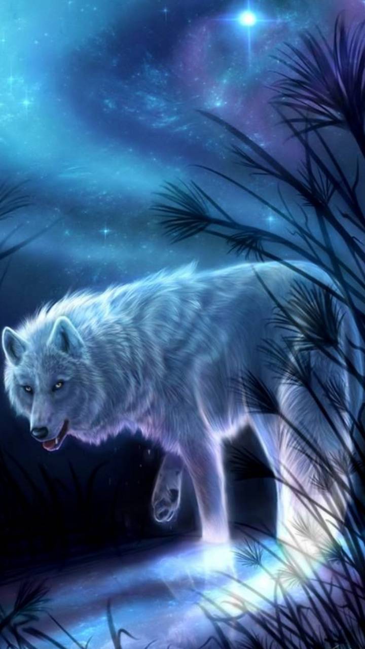 Spirit Wolf Wallpapers Wallpaper Cave