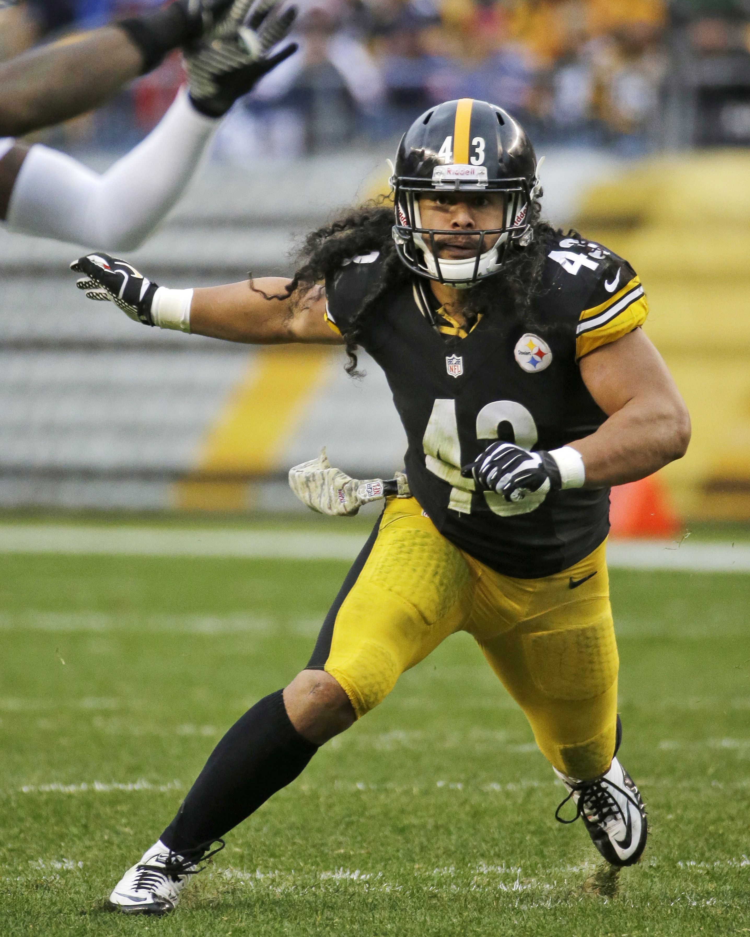 Troy Polamalu Wallpapers Wallpaper Cave