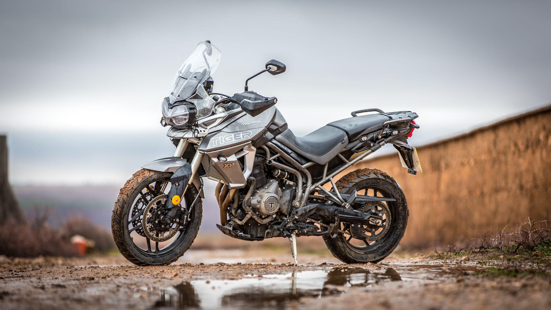 Tiger 900 Wallpapers Wallpaper Cave