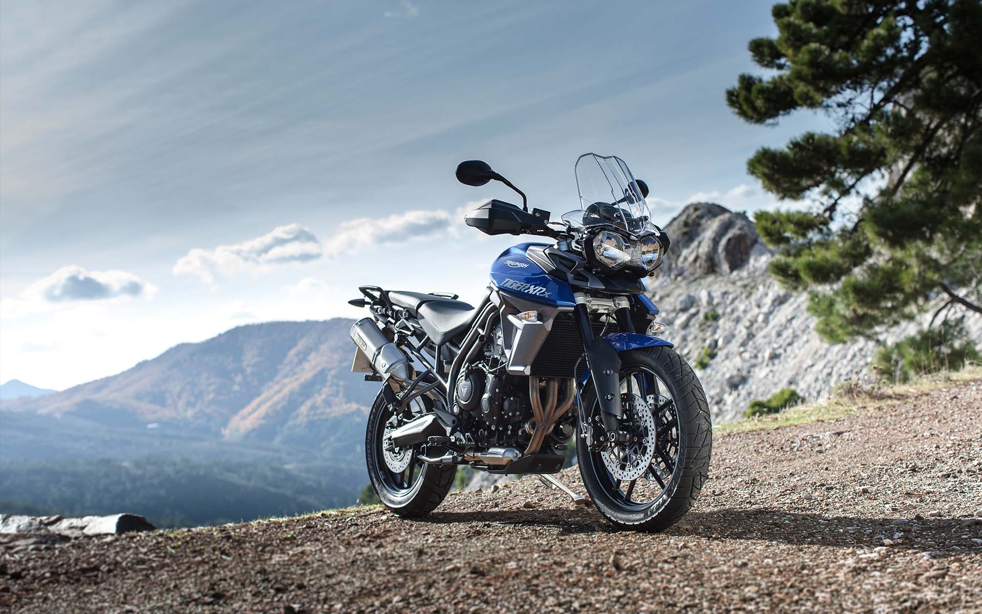 Tiger 900 Wallpapers Wallpaper Cave