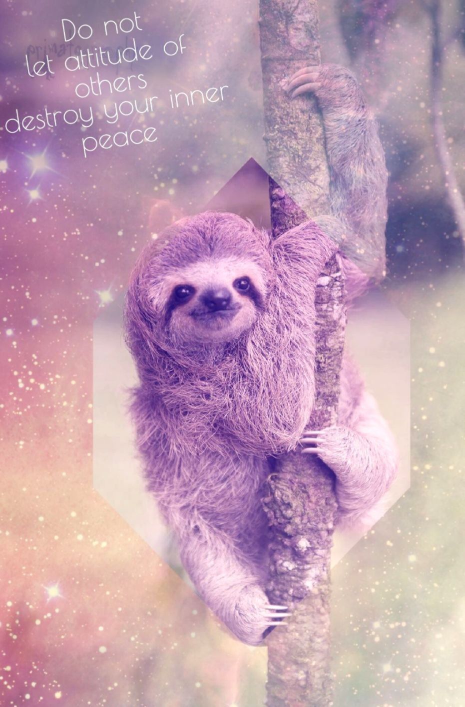Baby Sloths Wallpapers Wallpaper Cave