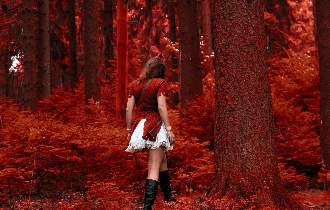 Red Forest Wallpapers Wallpaper Cave