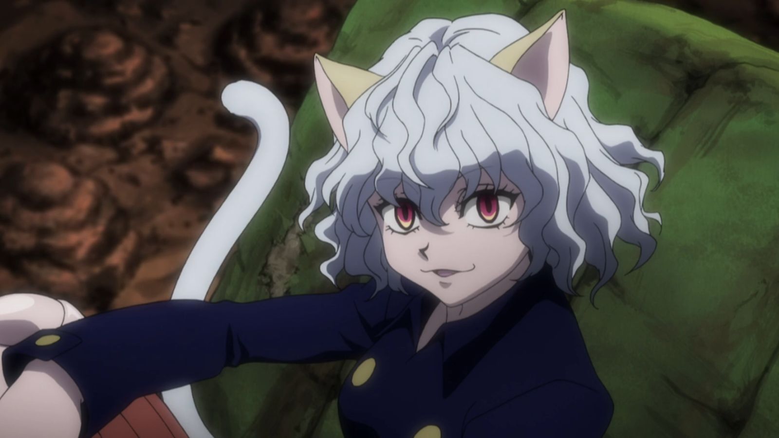 Pitou Wallpapers Wallpaper Cave