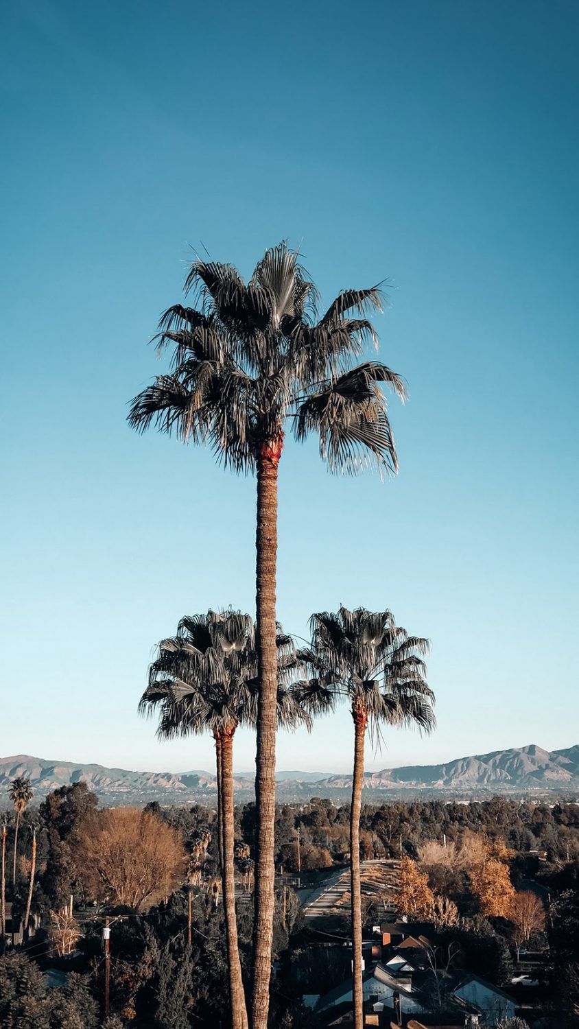 Nice Smartphone HD Wallpapers Wallpaper Cave