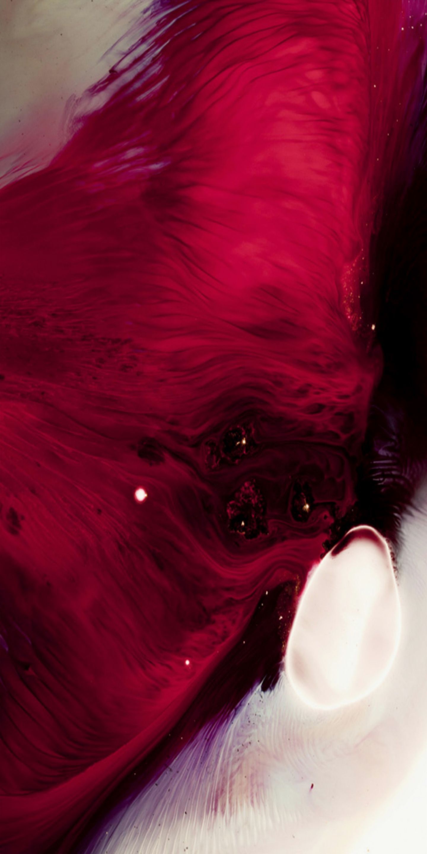 iPhone 11 Red Wallpapers Wallpaper Cave