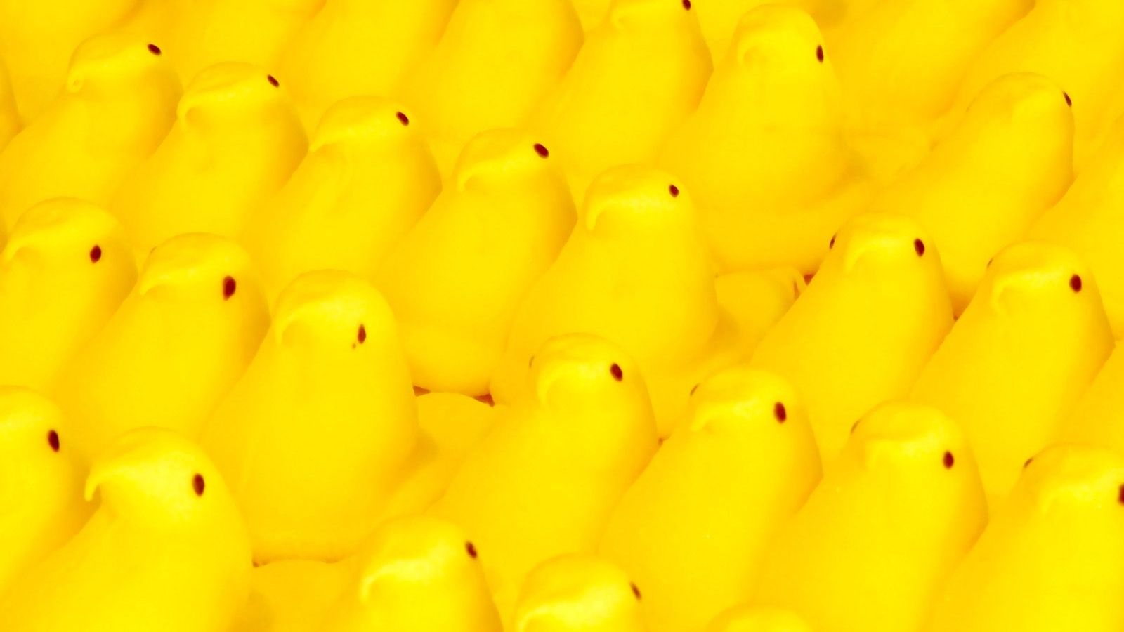Peeps Wallpapers Wallpaper Cave