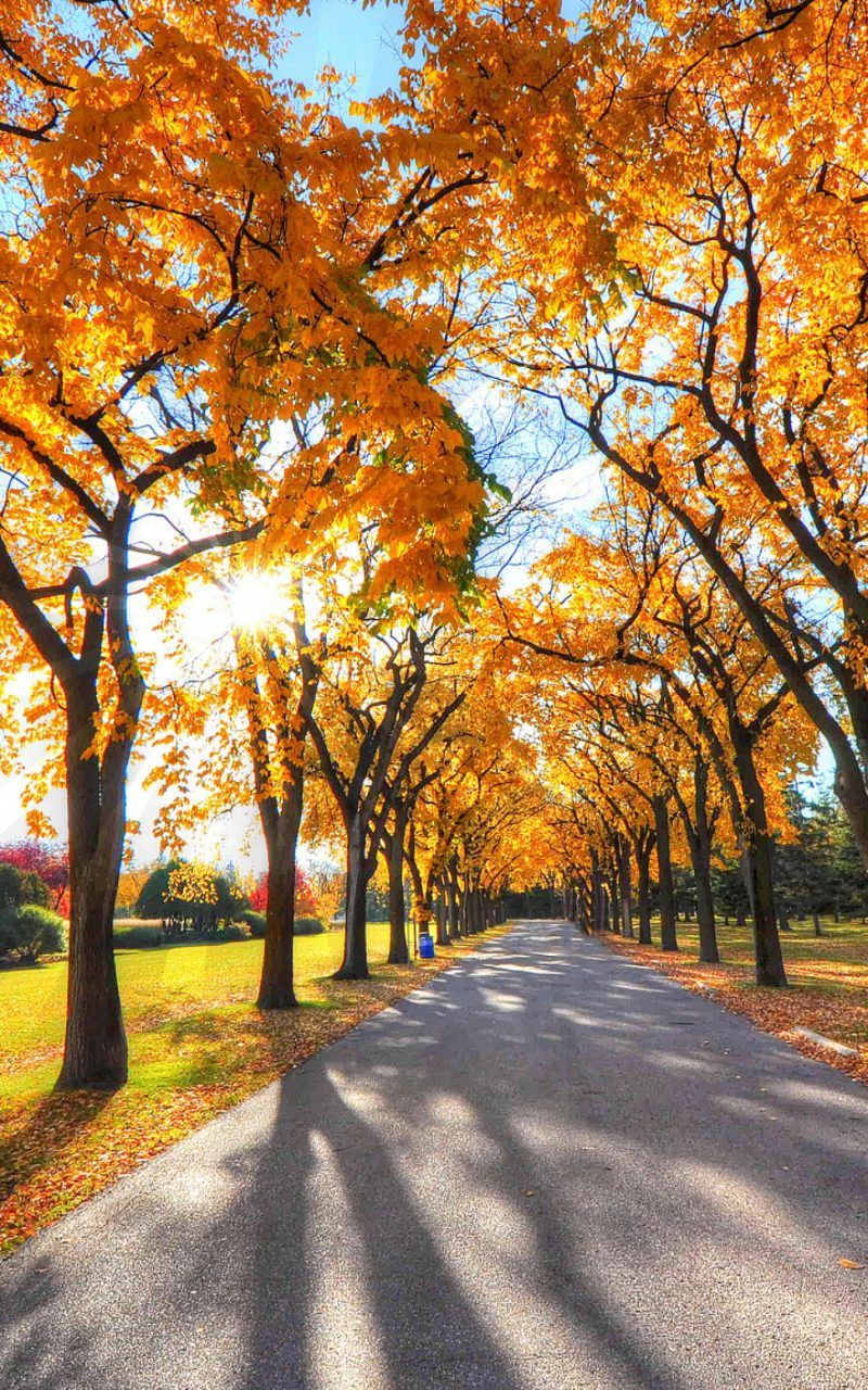 Best 4k Mobile Nature Wallpapers Wallpaper Cave