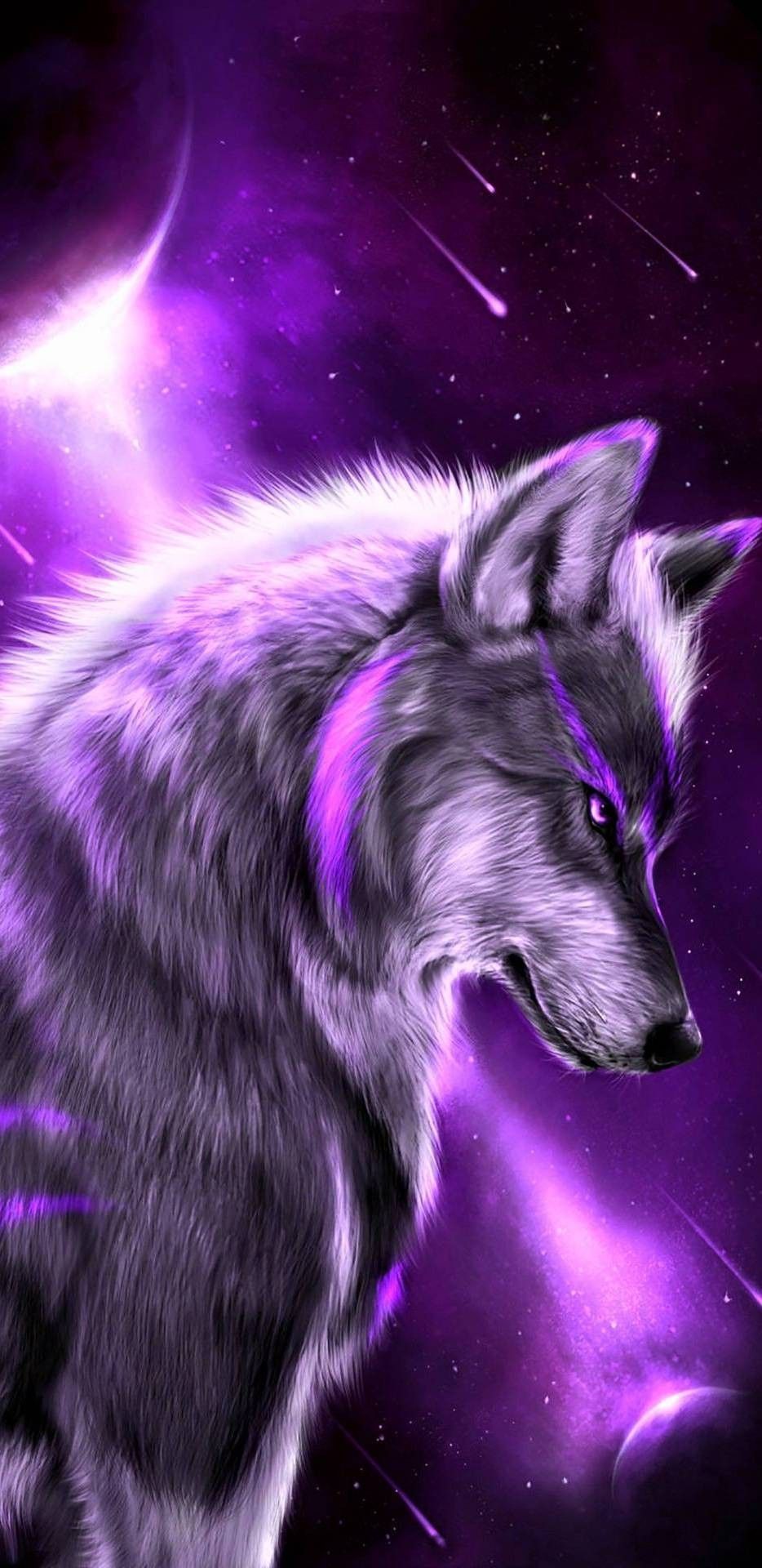 Cute Wolf Wallpapers Wallpaper Cave