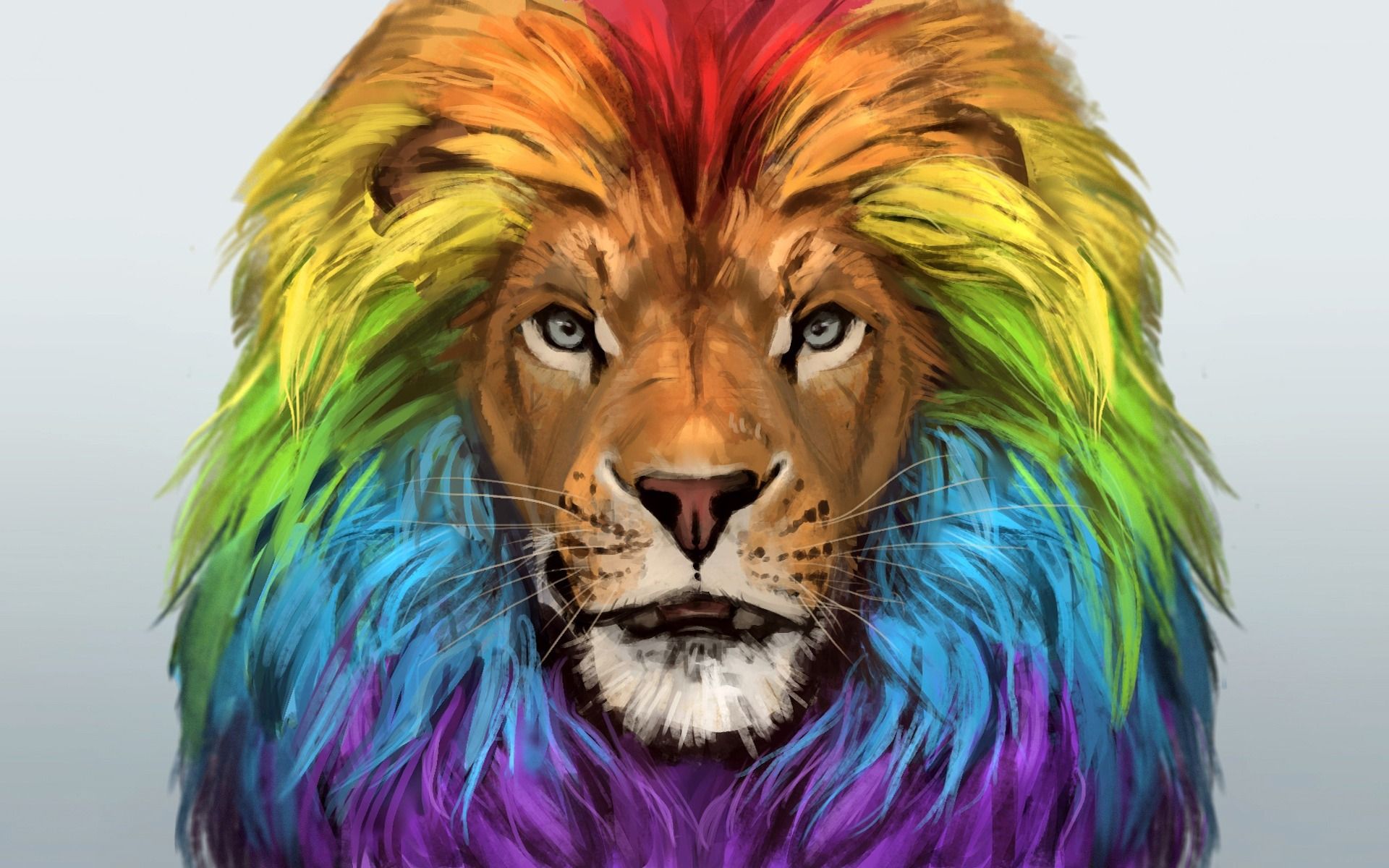 Lion Color Wallpapers Wallpaper Cave
