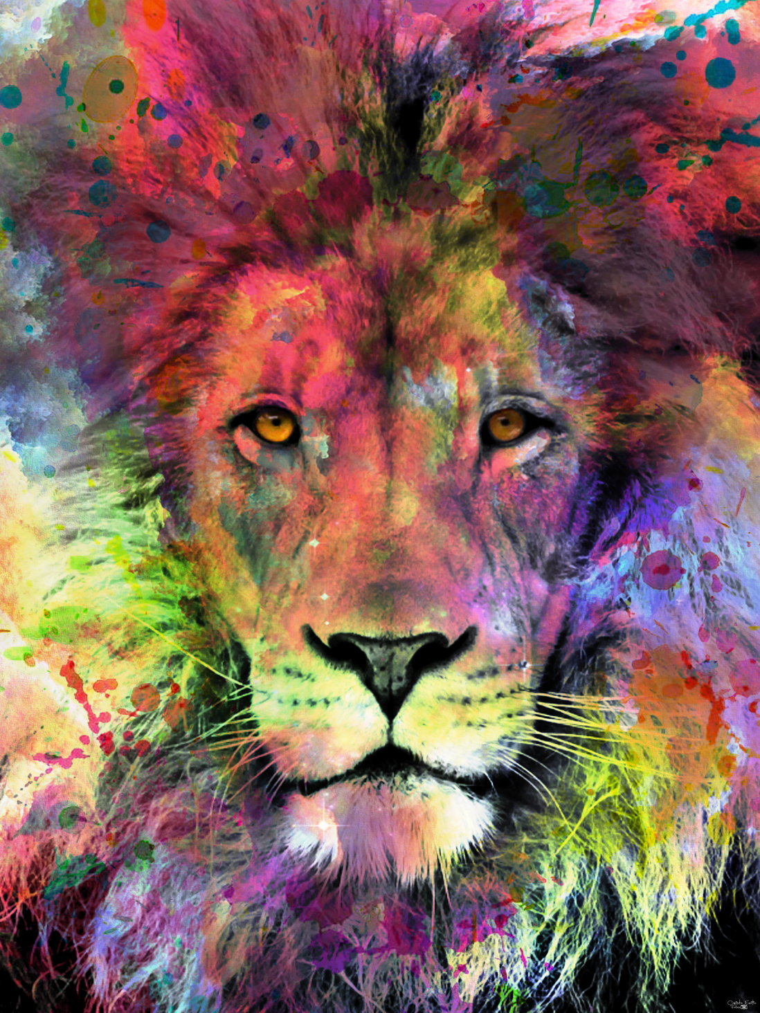 Lion Color Wallpapers Wallpaper Cave
