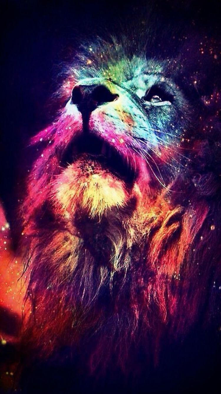 Lion Color Wallpapers Wallpaper Cave