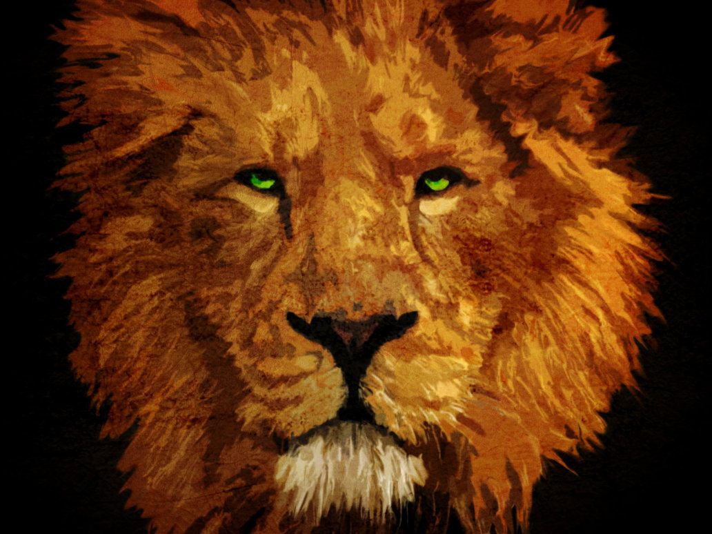 Lion Color Wallpapers Wallpaper Cave