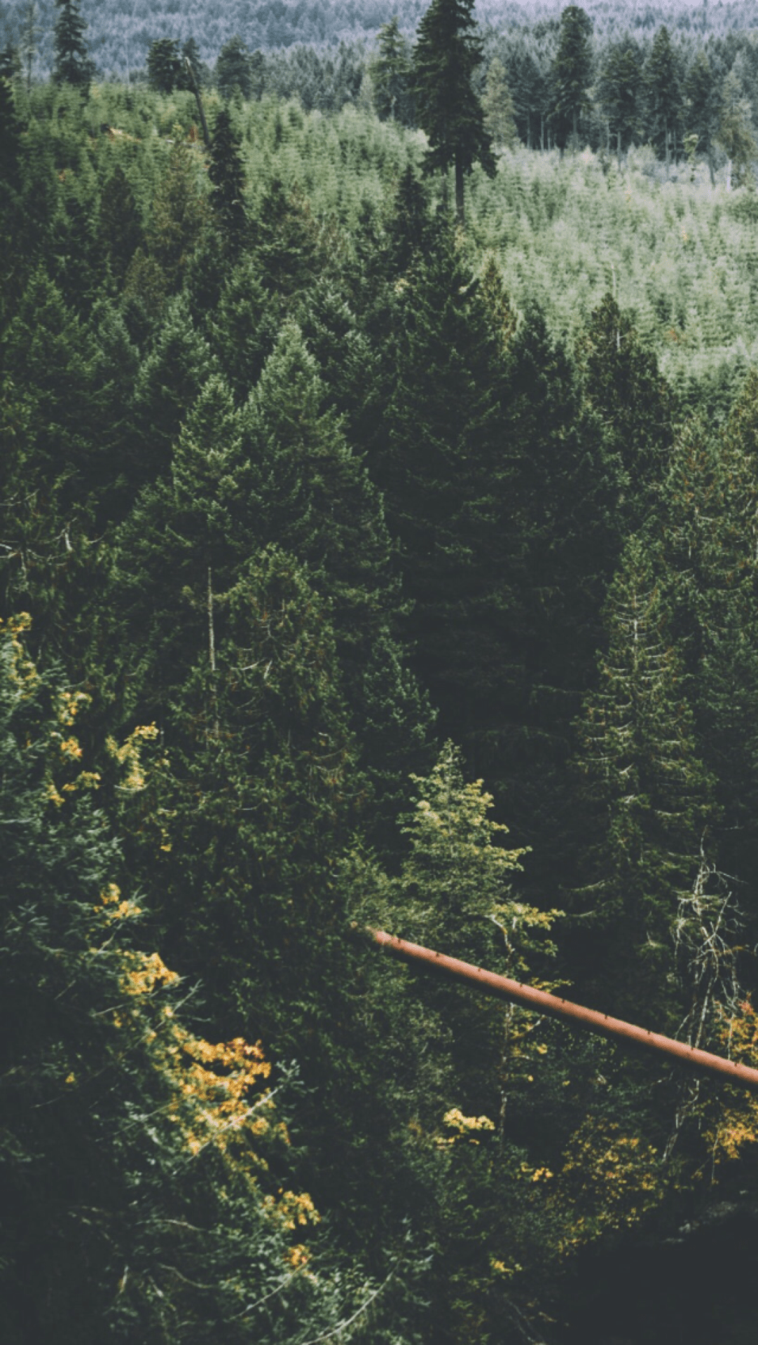 Nature Tumblr Wallpapers Wallpaper Cave