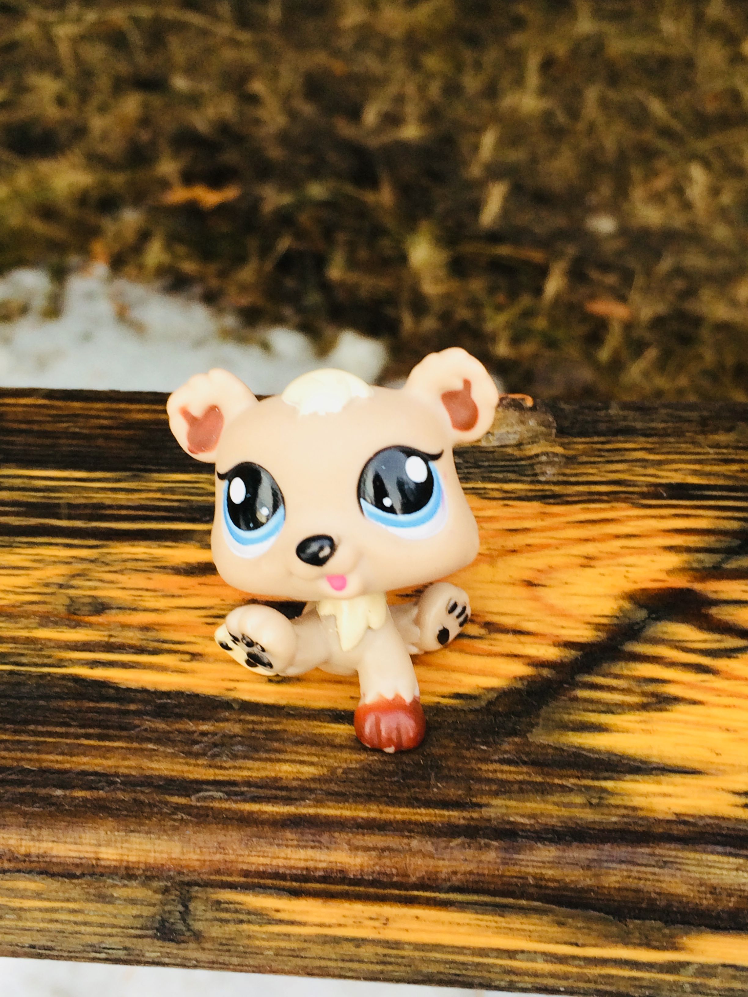 Littlest Pet Shop Aesthetic Wallpapers Wallpaper Cave