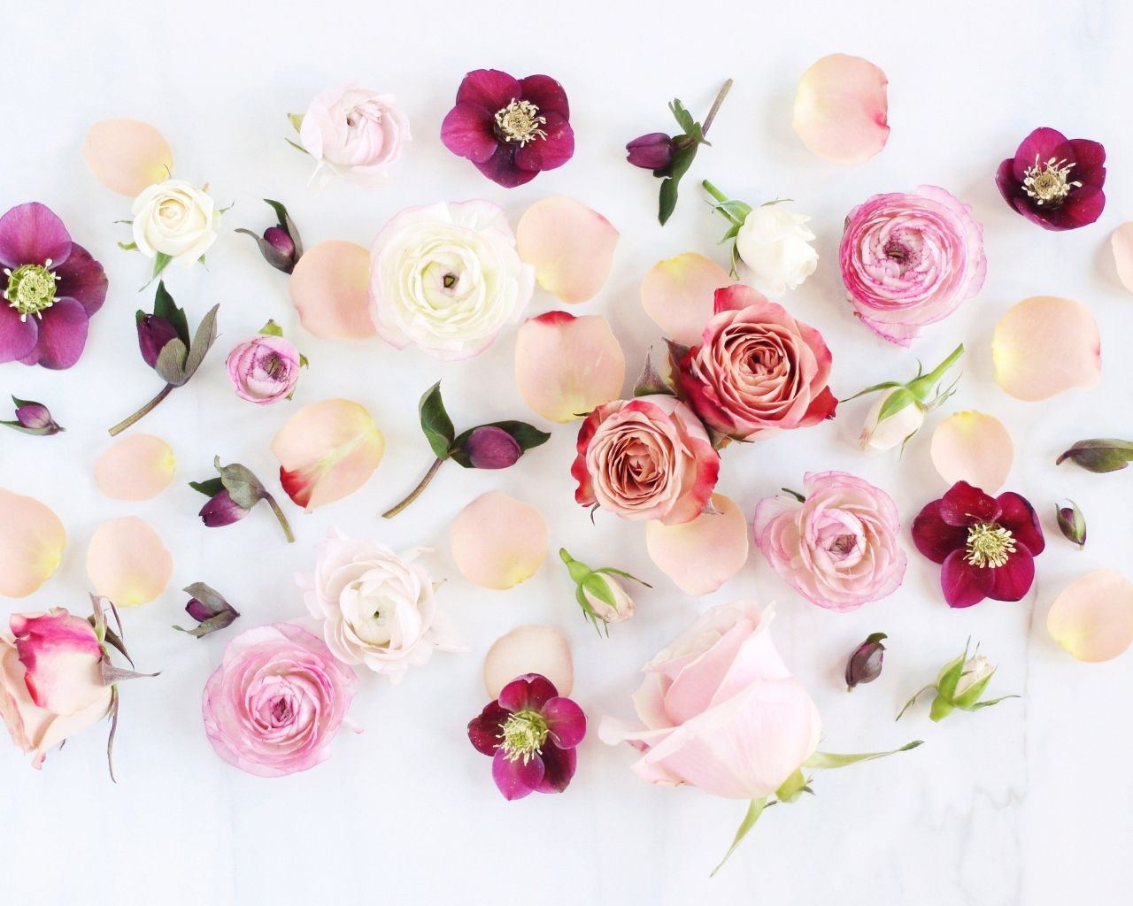 Aesthetic Flower Desktop Wallpapers Wallpaper Cave