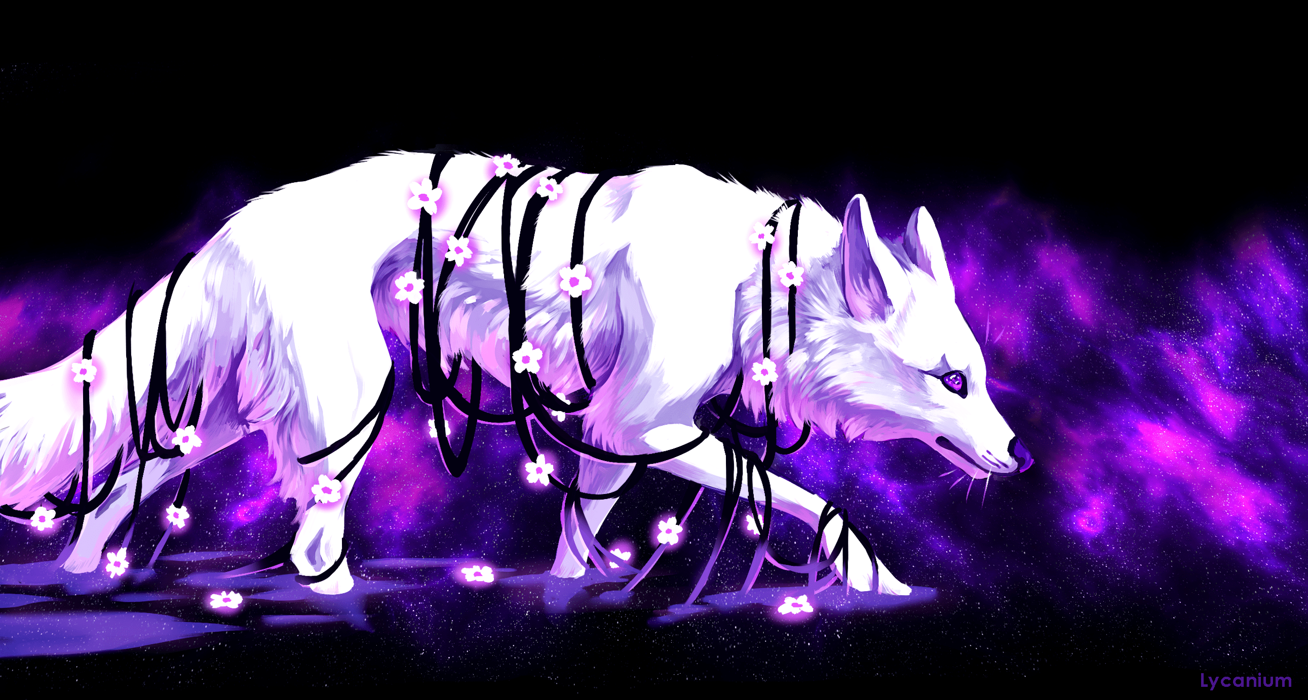 Purple Wolf Wallpapers Wallpaper Cave