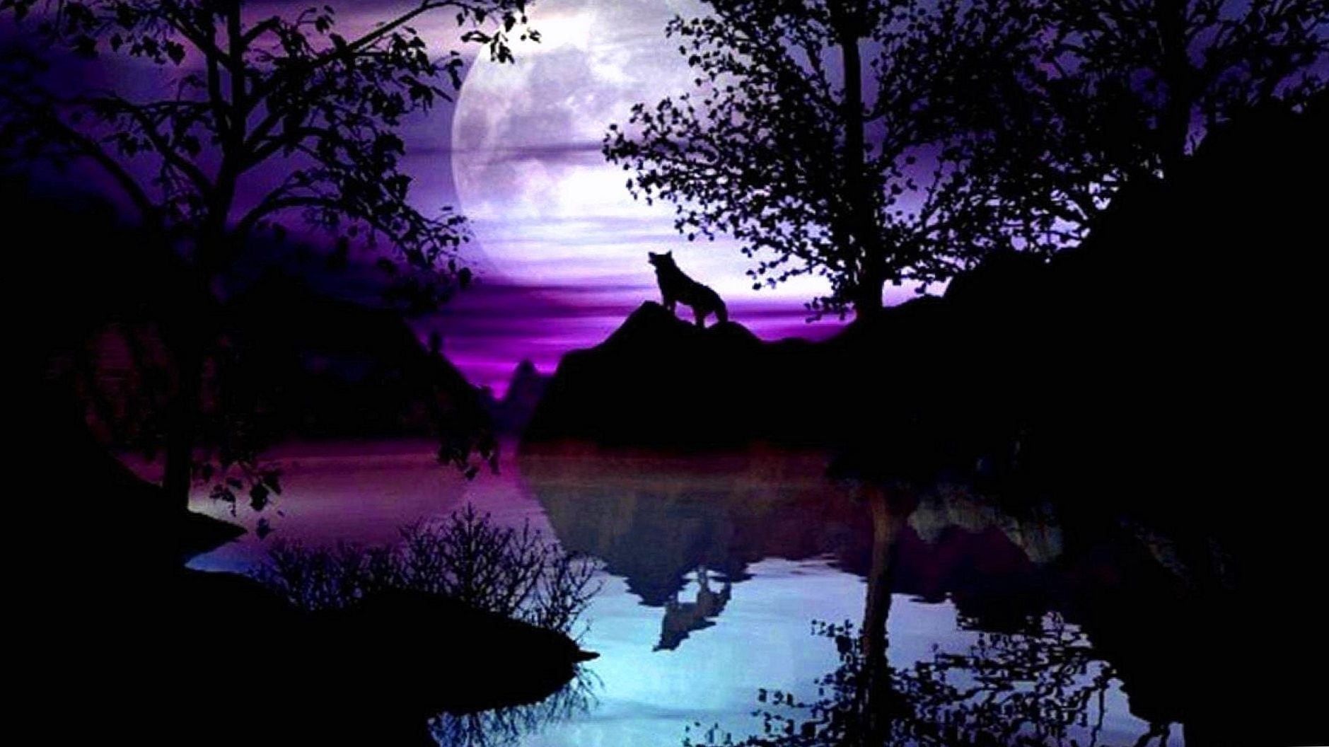 Purple Wolf Wallpapers Wallpaper Cave