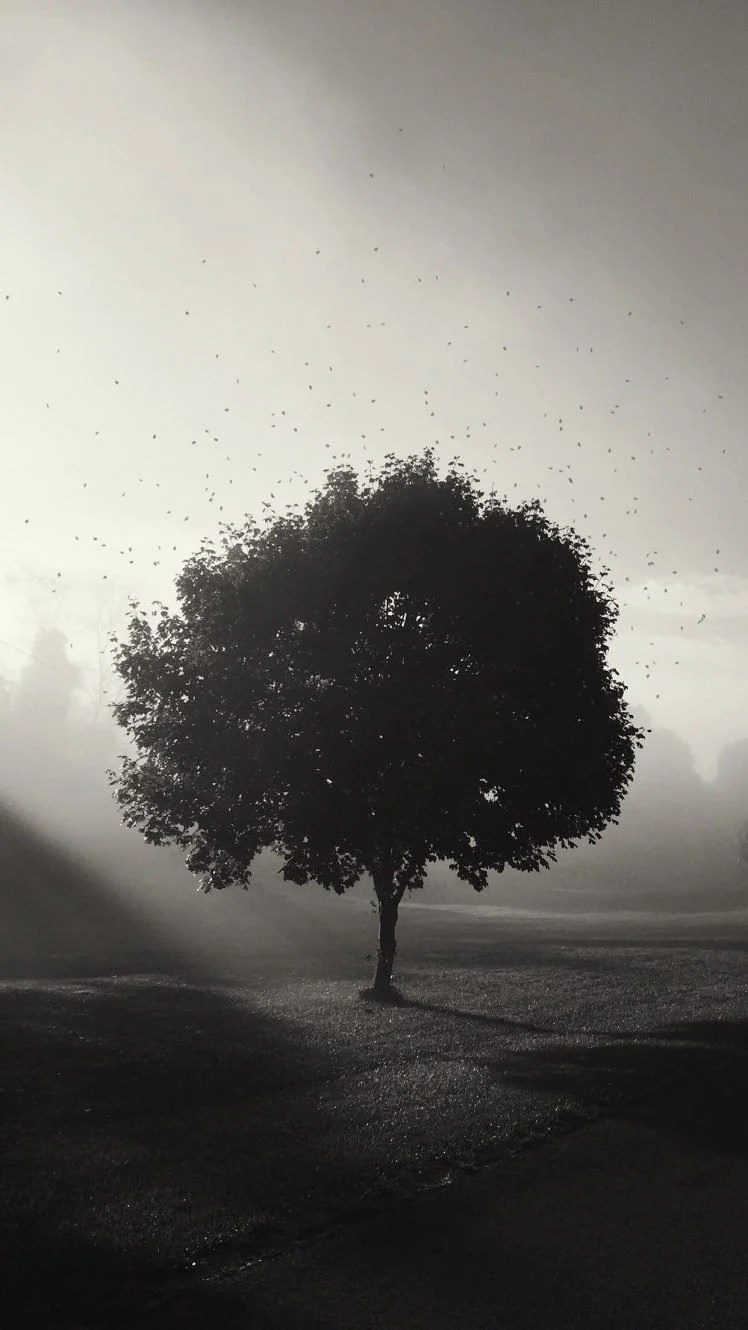 Black Aesthetic HD Vertical Wallpapers Wallpaper Cave