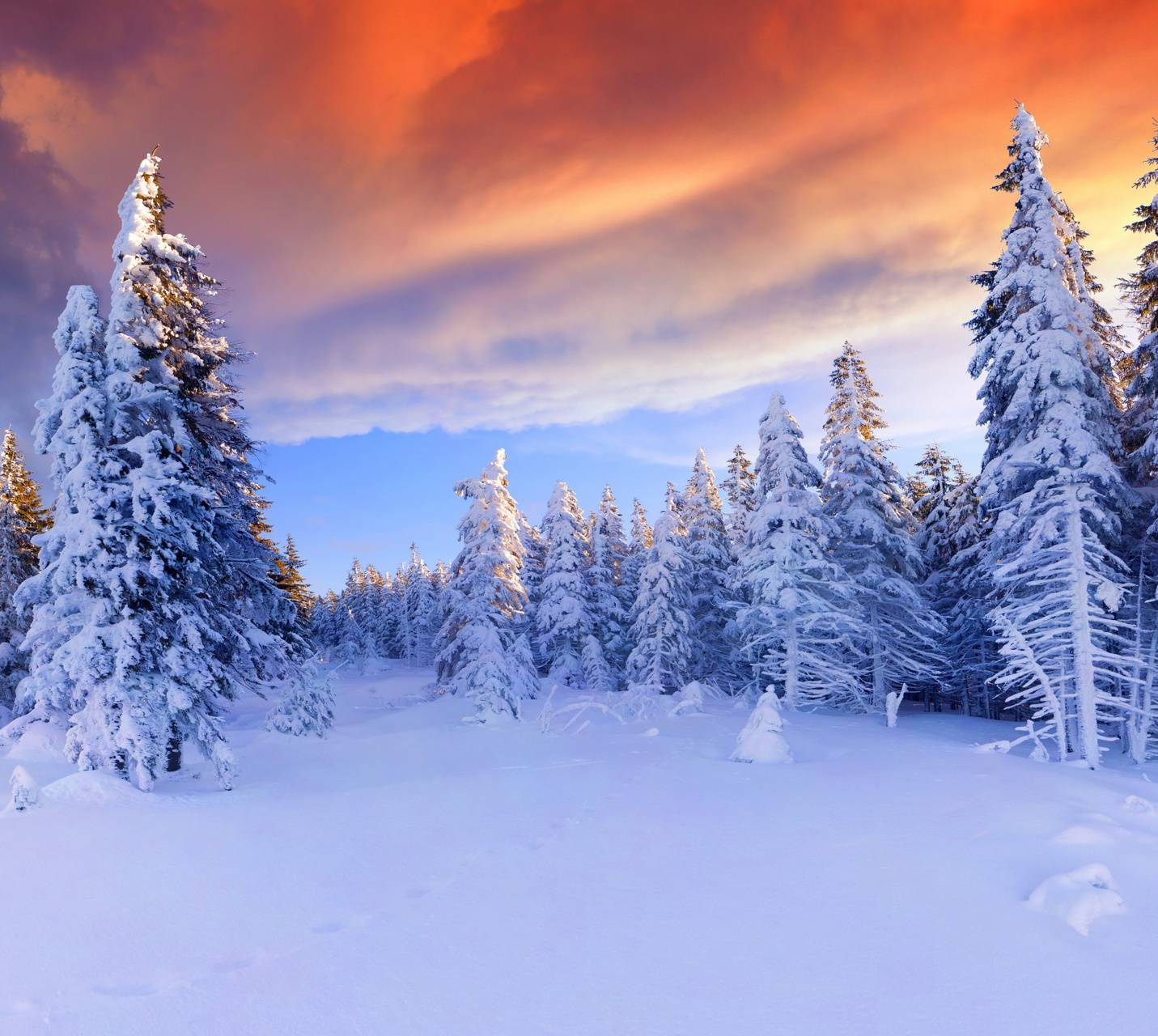 Winterland Wallpapers Wallpaper Cave
