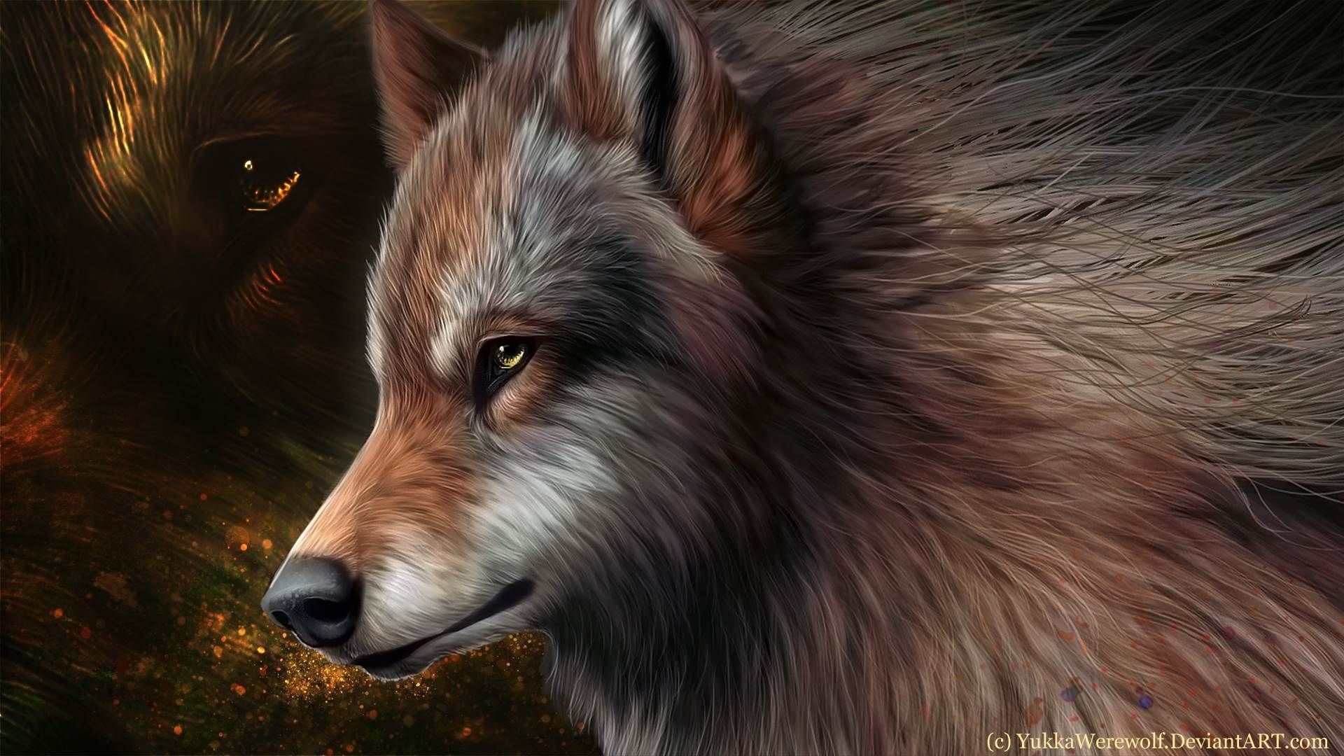 Animated Wolf Wallpapers Wallpaper Cave