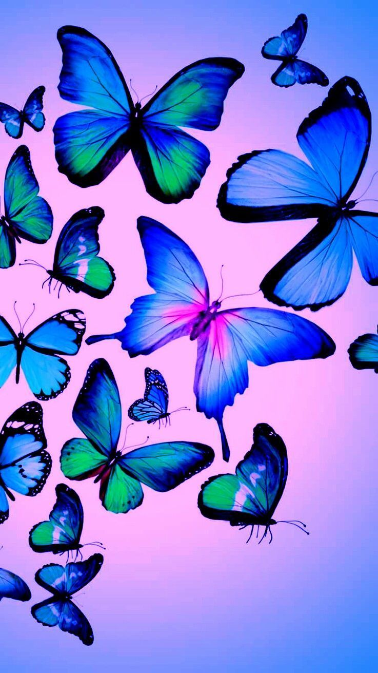 Butterfly iPhone Wallpapers Wallpaper Cave