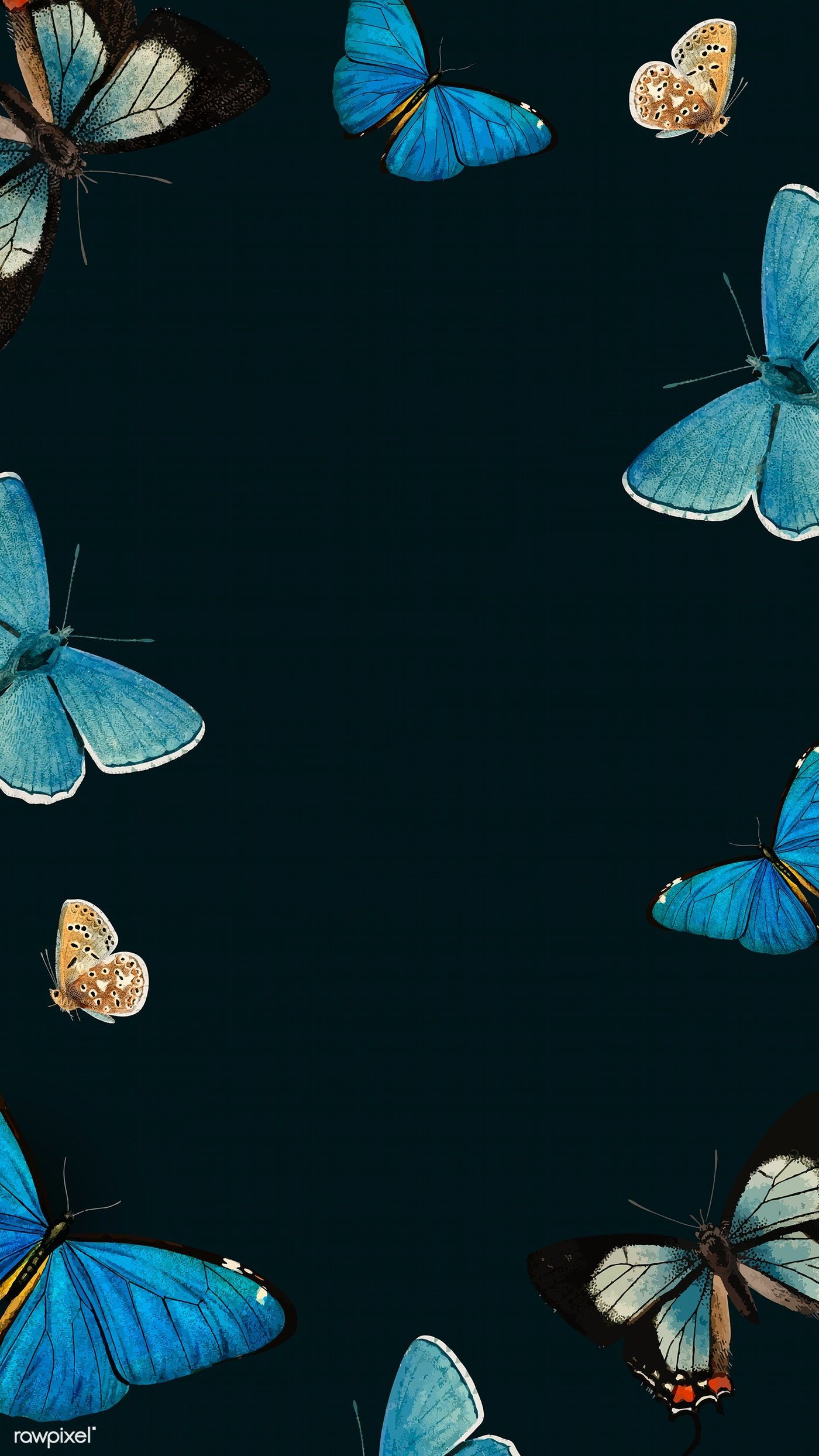 Butterflies Tumblr Wallpapers Wallpaper Cave
