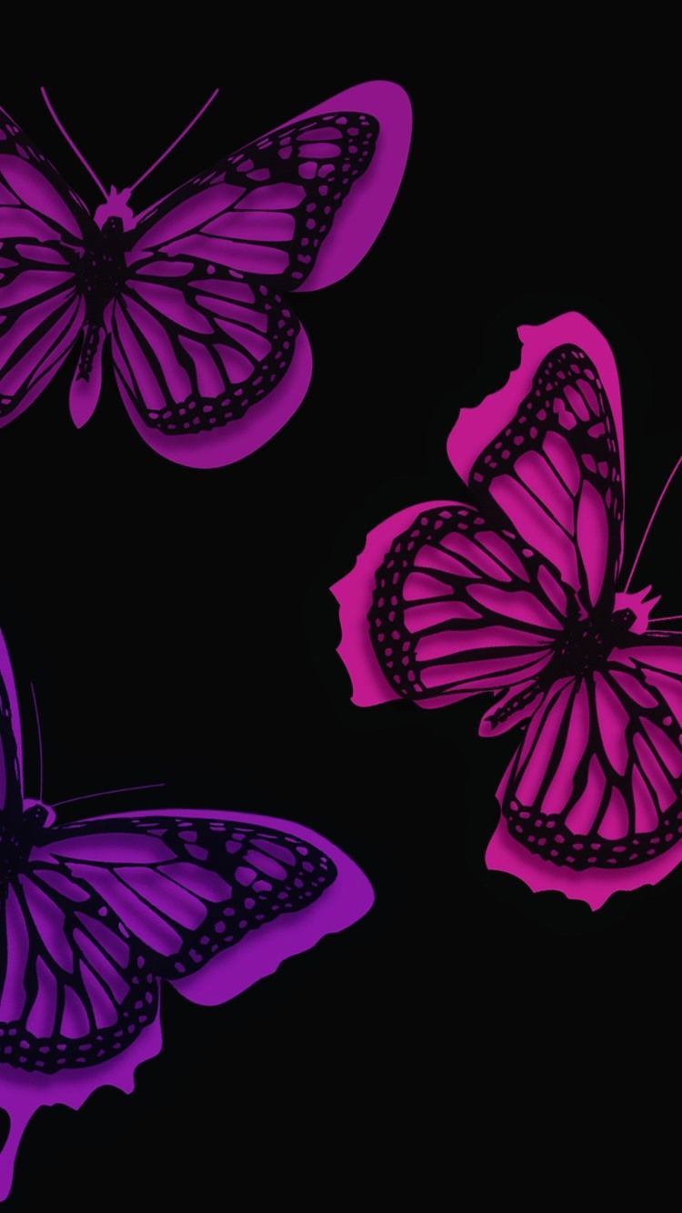 Purple And Black Butterfly Wallpapers