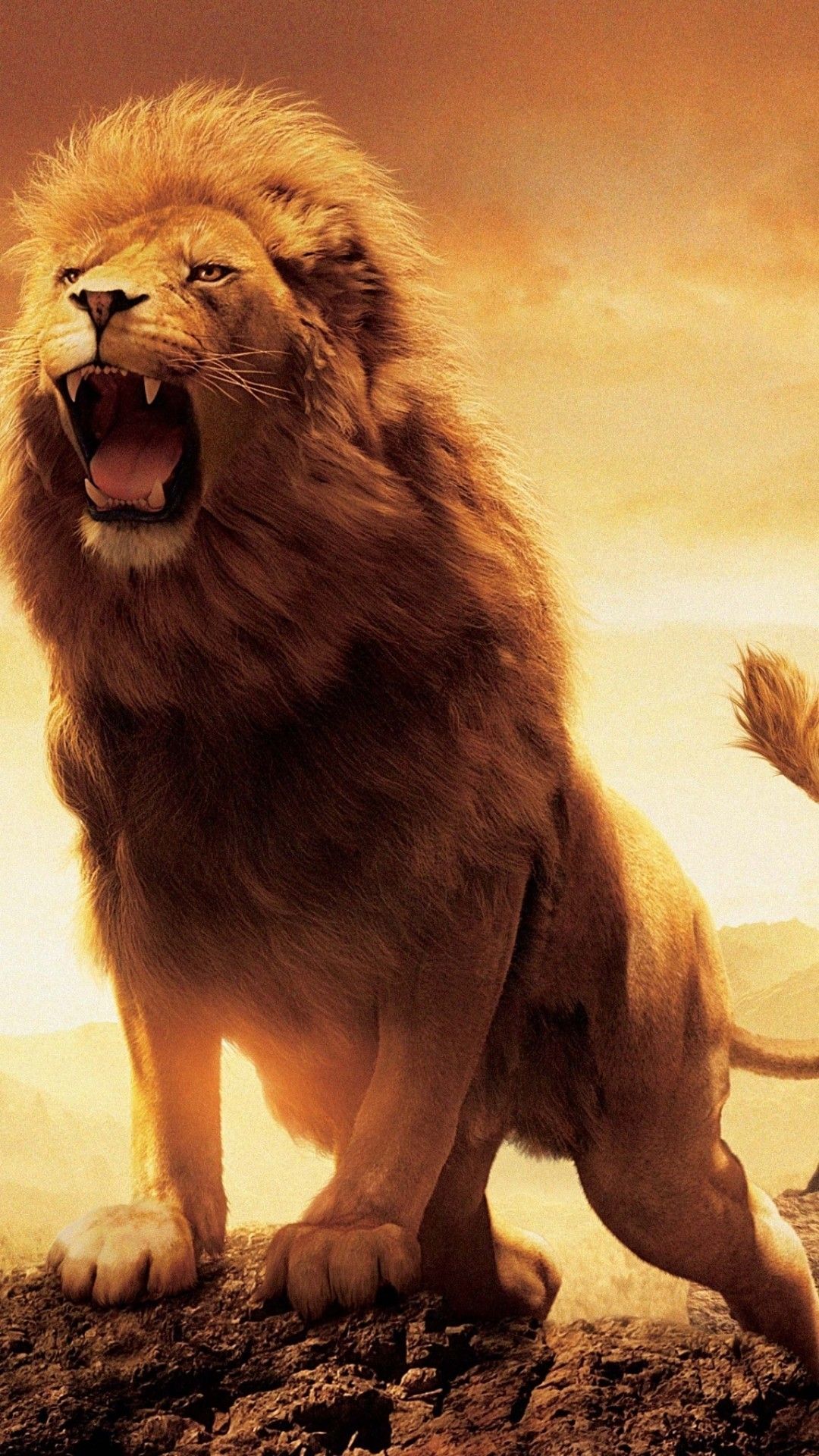 Golden Lion Wallpapers Wallpaper Cave