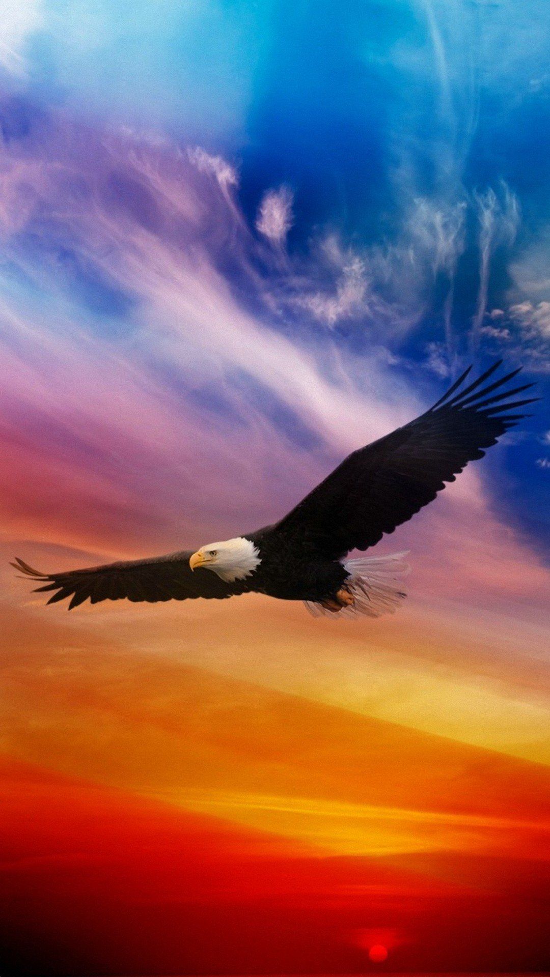 American Eagle iPhone Wallpapers Wallpaper Cave