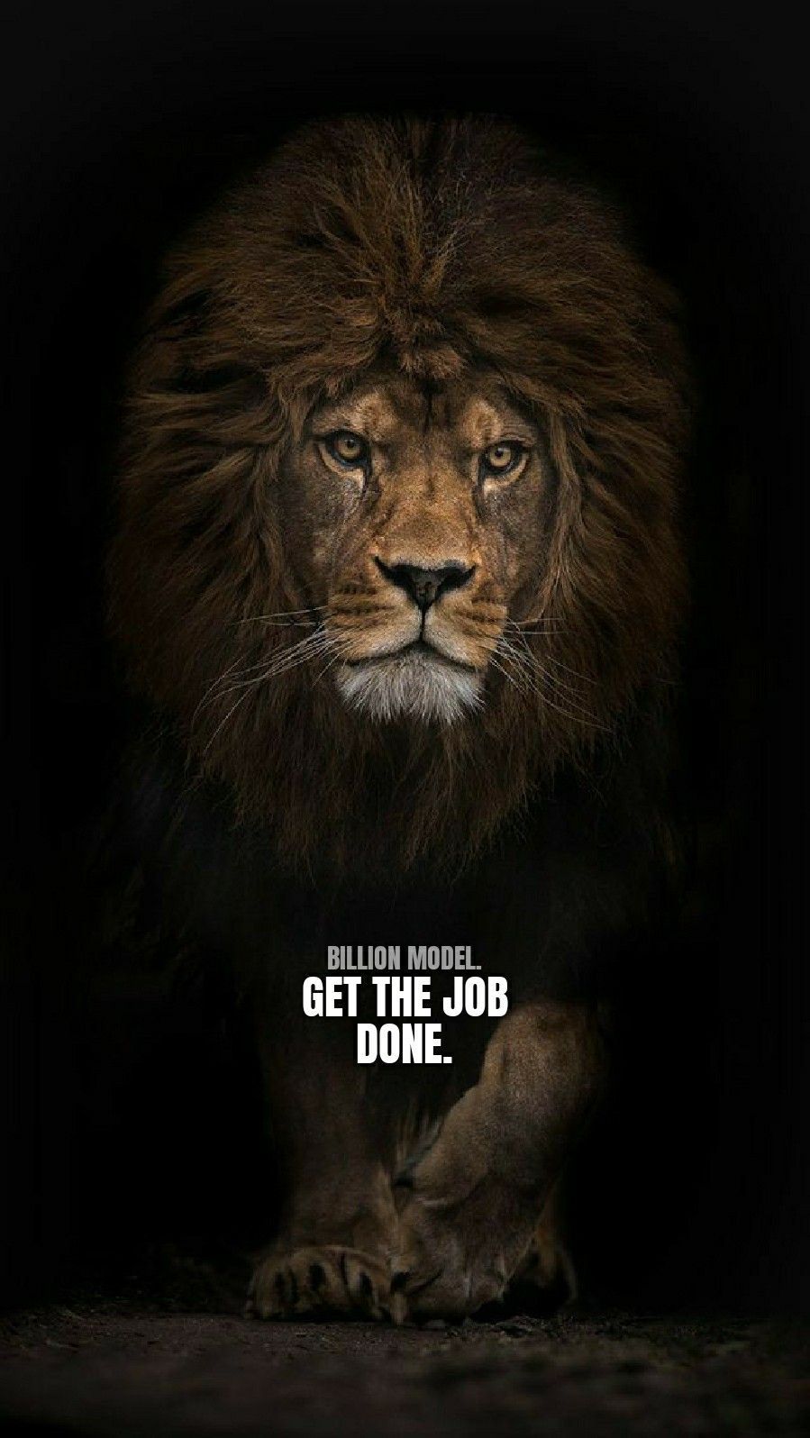 Lion Quotes Wallpapers Wallpaper Cave
