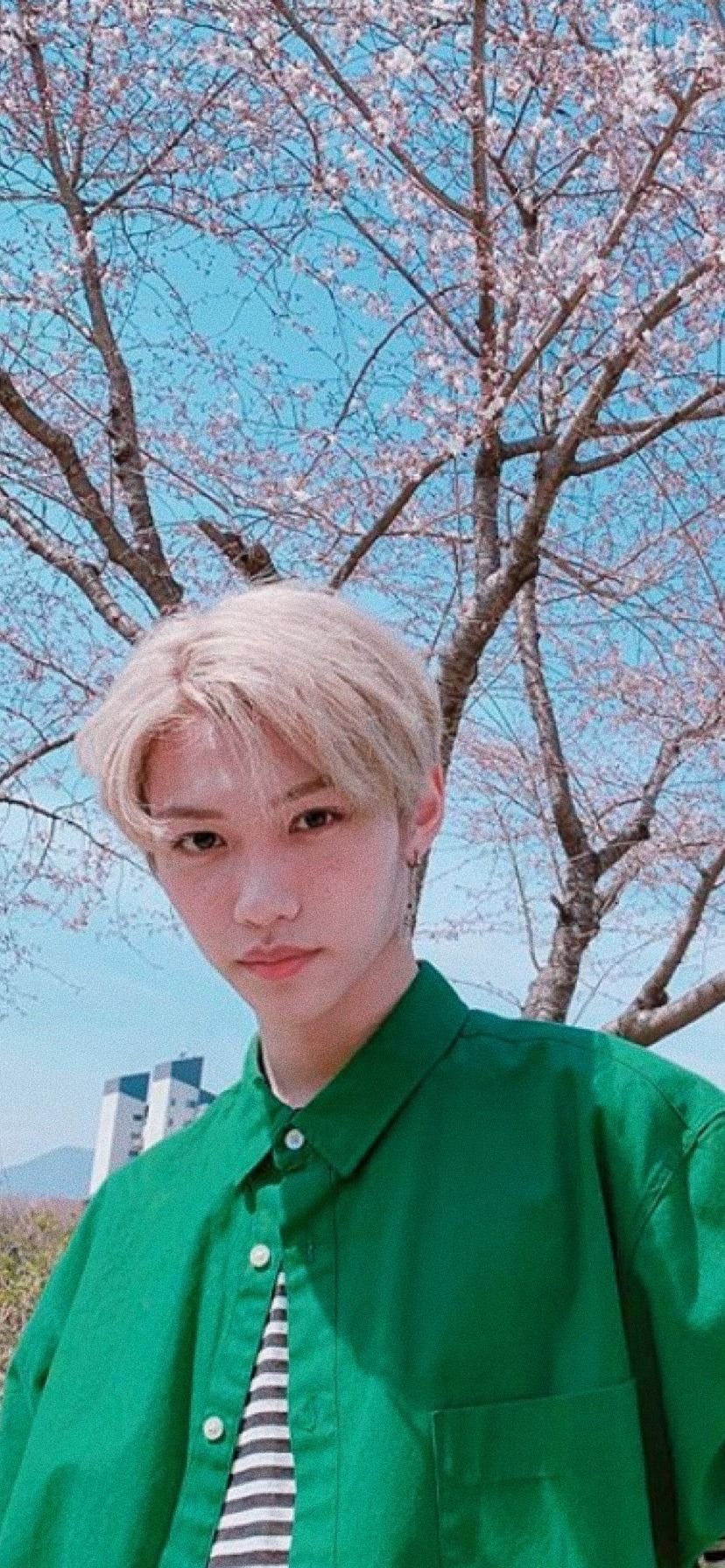 Felix SKZ Wallpapers Wallpaper Cave