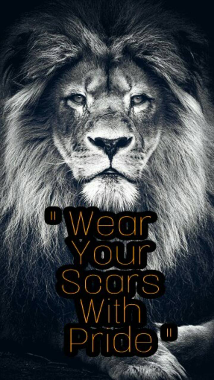Lion Quotes Wallpapers Wallpaper Cave