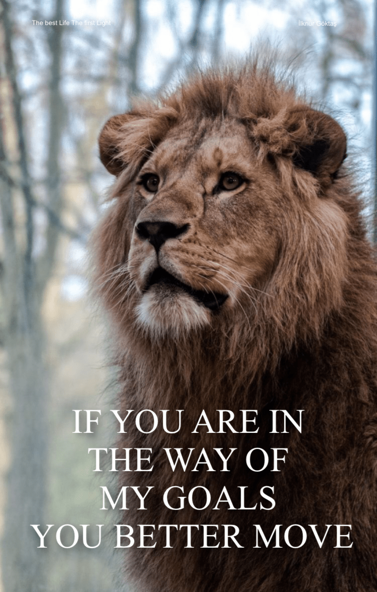 Lion Quotes Wallpapers Wallpaper Cave