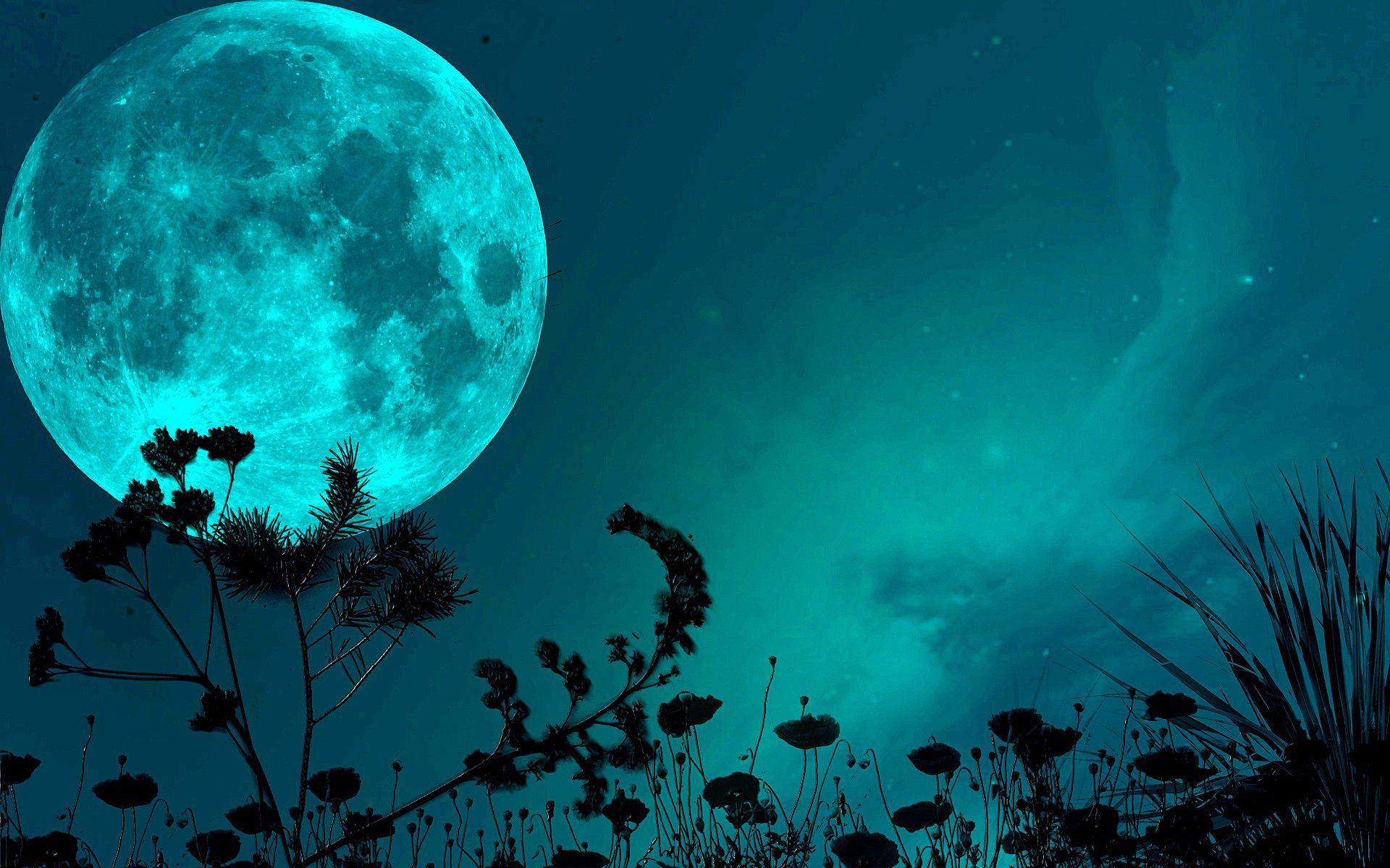 Green Moon Wallpapers Wallpaper Cave