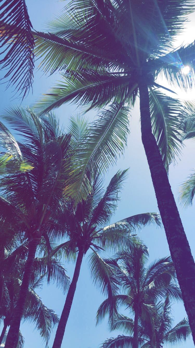 Summer Vibes Wallpapers Wallpaper Cave