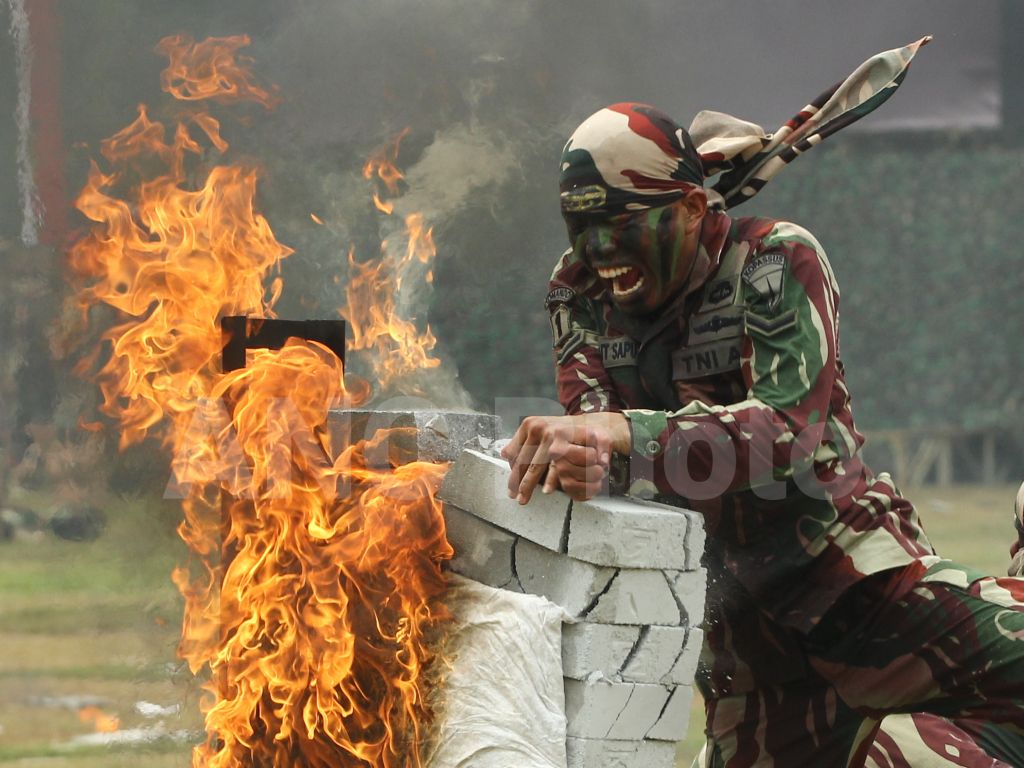 Kopassus Wallpapers Wallpaper Cave