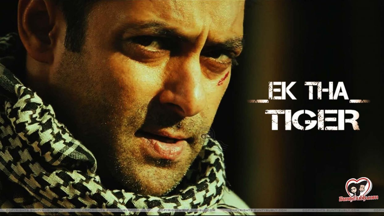 Ek Tha Tiger Wallpapers Wallpaper Cave