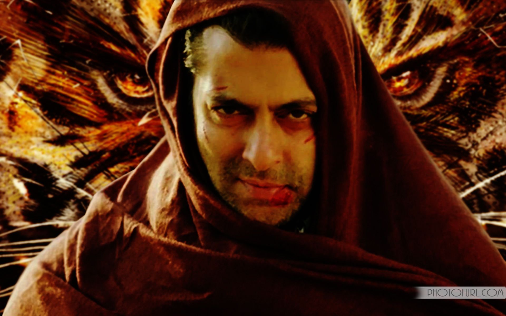 Ek Tha Tiger Wallpapers Wallpaper Cave