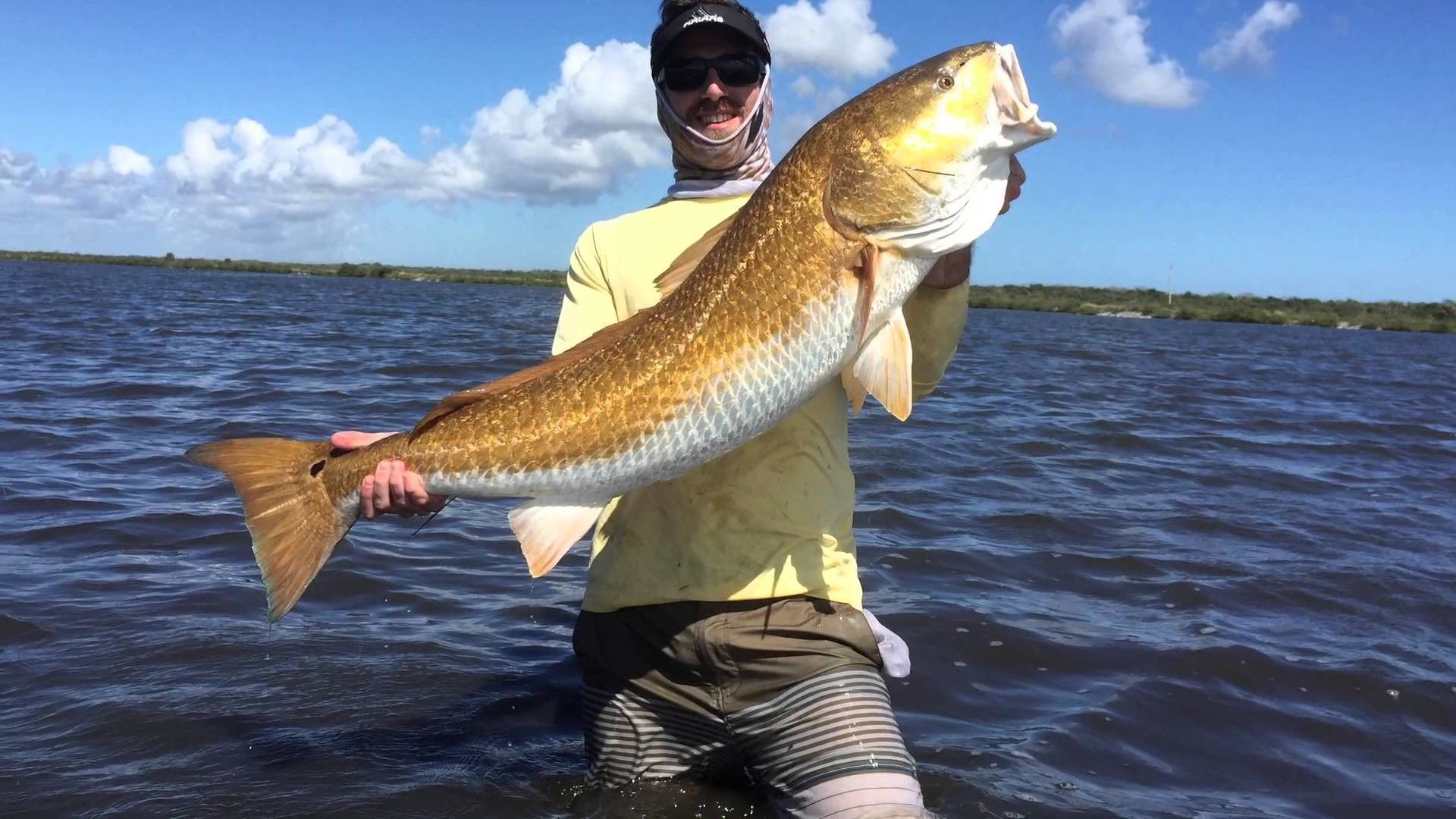 Redfish Wallpapers Wallpaper Cave