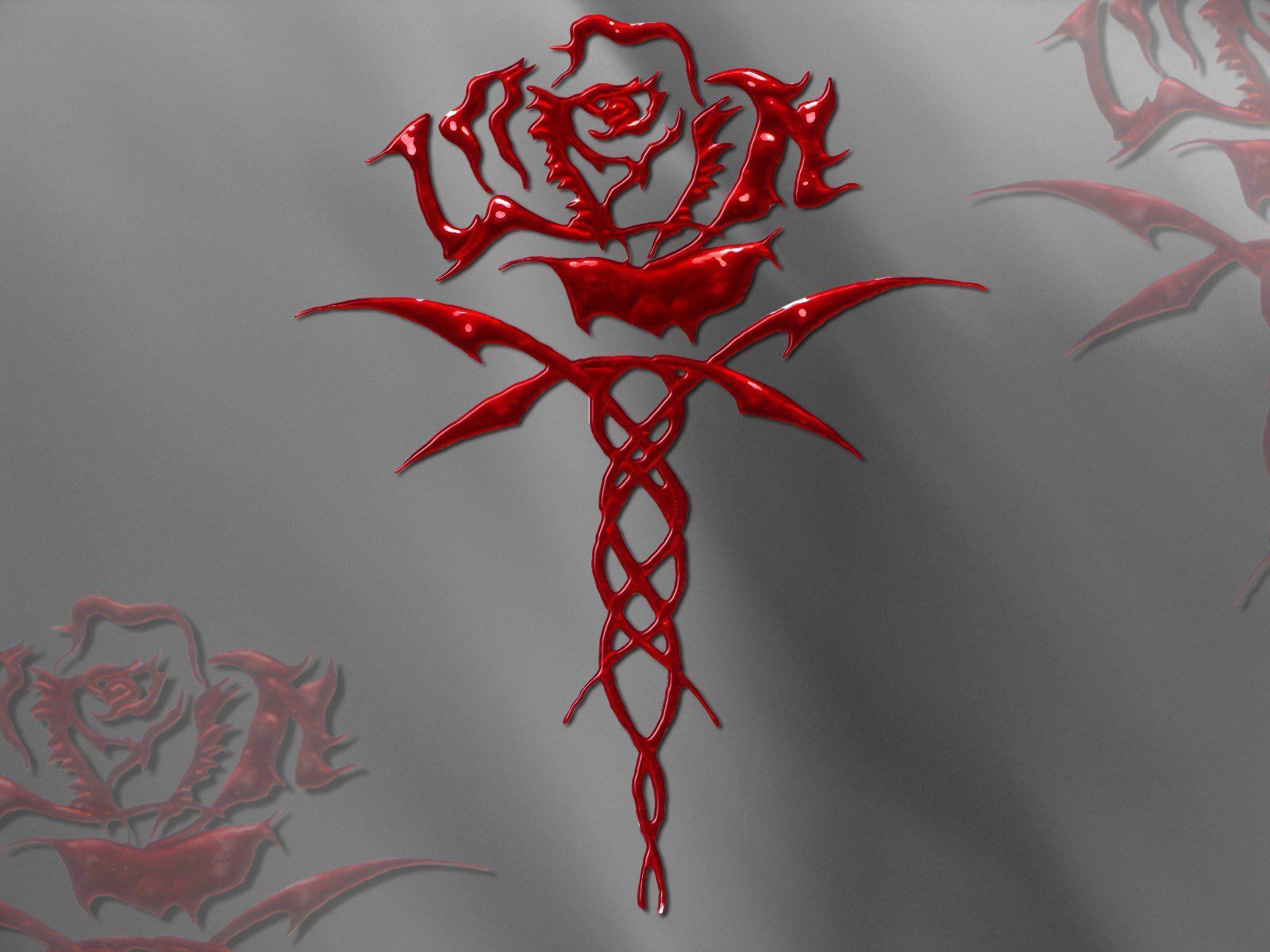 Blood Rose Wallpapers Wallpaper Cave