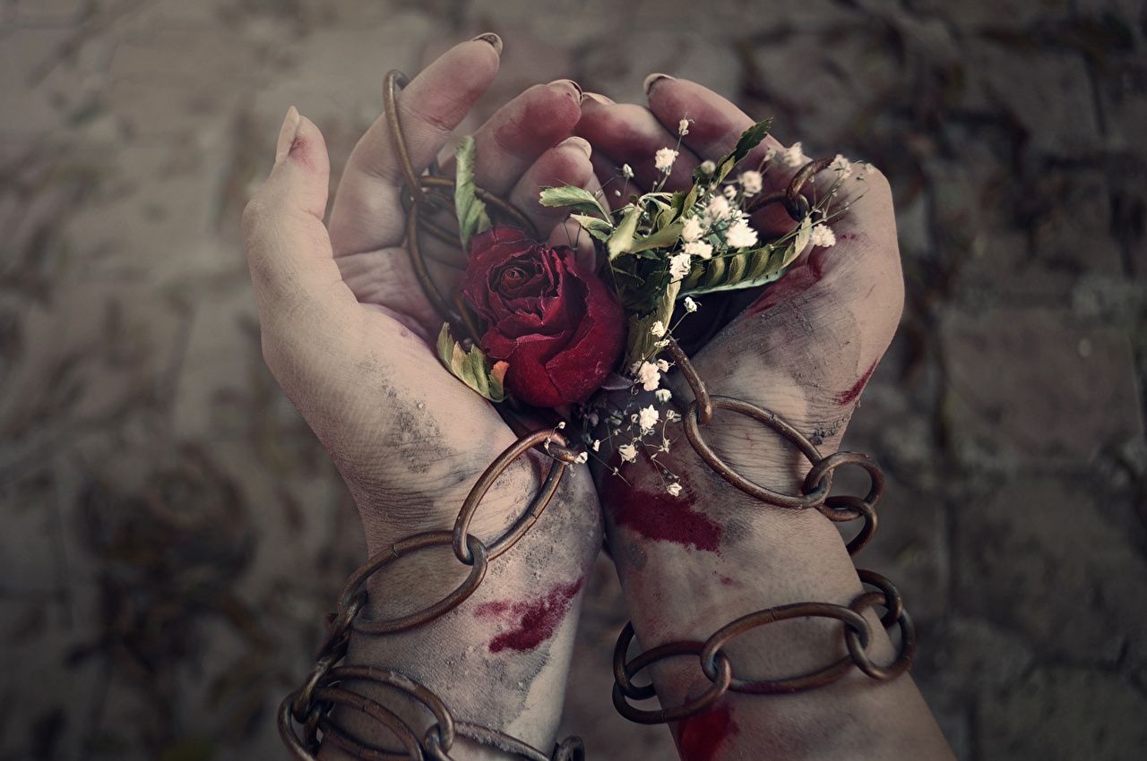 Blood Hand Wallpapers Wallpaper Cave