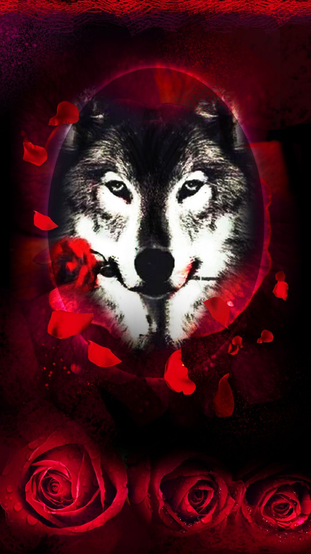 Blood Rose Wallpapers Wallpaper Cave